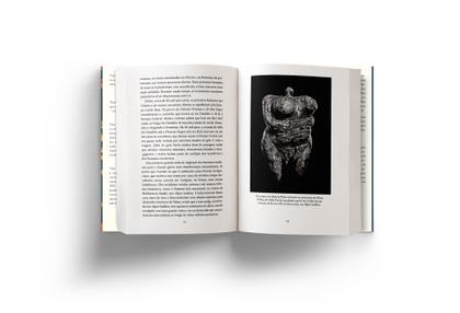 Imagem de Livro - A jornada dos nossos genes