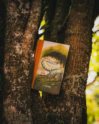 Imagem de Livro - A maravilhosa terra dos Snergs (Feéria Clássica) – Clássico infantojuvenil que inspirou O Hobbit