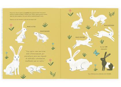 Imagem de Livro - A origem das espécies