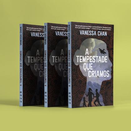 Imagem de Livro - A tempestade que criamos