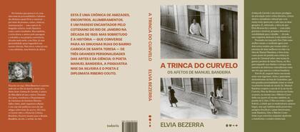 Imagem de Livro - A trinca do Curvelo