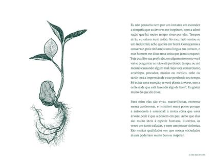 Imagem de Livro - A vida das árvores