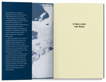 Imagem de Livro - A vida é cruel, Ana Maria
