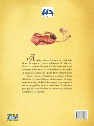 Imagem de Livro - A vida secreta das formigas