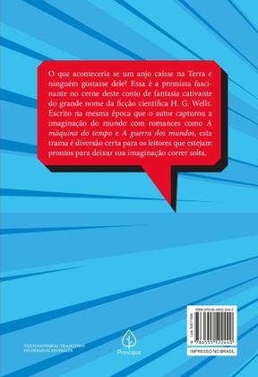 Imagem de Livro - A visita maravilhosa