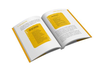 Imagem de Livro - Abaixo os gurus, salves os guris