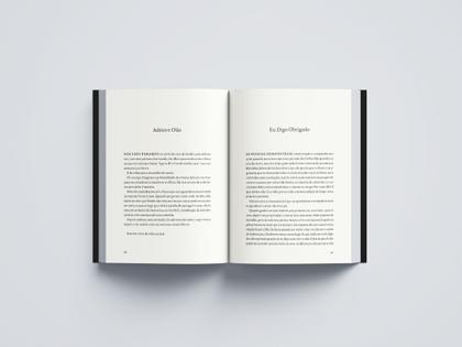 Imagem de Livro - Acid for the children (Edição atualizada com capítulo extra)