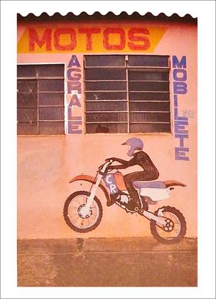 Imagem de Livro - Almanaque insólito