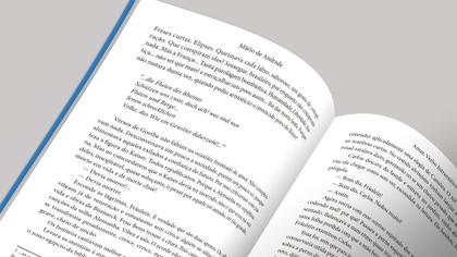Imagem de Livro - Amar, Verbo Intransitivo