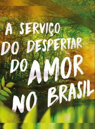 Imagem de Livro - Amor, Ordem e Progresso