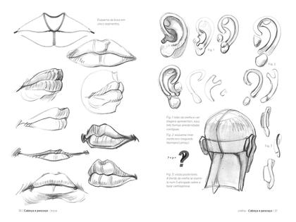 Imagem de Livro - Anatomia Artistica 2