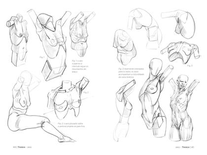 Imagem de Livro - Anatomia Artistica 2