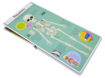 Imagem de Livro - Aprendo Brincando – Corpo Humano