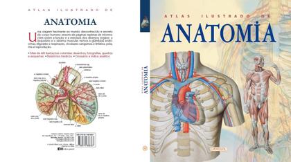 Imagem de Livro Atlas Ilustrado de Anatomia Adriana Rigutti
