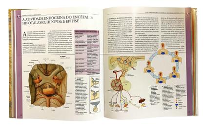 Imagem de Livro - Atlas Ilustrado de Anatomia