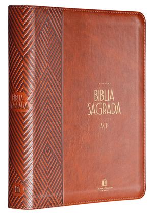 Imagem de Livro - Bíblia ACF, Letra tradicional, Fonte Leitura Perfeita, com espaço para anotações, Capa luxo Marrom