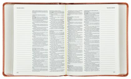 Imagem de Livro - Bíblia ACF, Letra tradicional, Fonte Leitura Perfeita, com espaço para anotações, Capa luxo Marrom