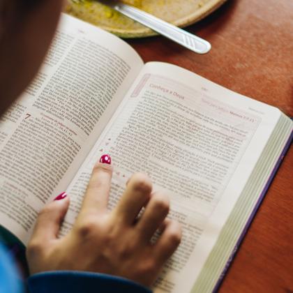Imagem de Livro - Bíblia da Garota Cristã NTLH, Letra tradicional, Capa dura Roxa Colagem