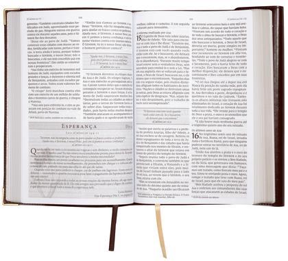 Imagem de Livro - Bíblia da Mulher de Fé, NVI, Letra Grande, Couro-soft vinho com fechamento carteira