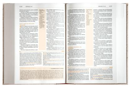 Imagem de Livro - Bíblia de Estudo ACF, Capa dura, Leitura Perfeita