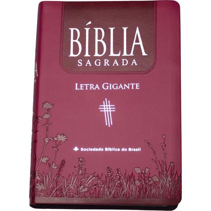 Imagem de Livro - Bíblia Sagrada NTLH para Mulher, Letra Gigante, com mapa, com índice, Capa Couro Sintético Rosa Pink