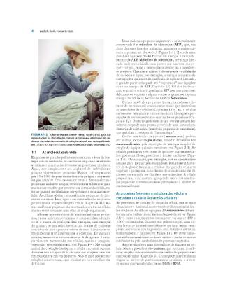 Imagem de Livro - Biologia Celular e Molecular