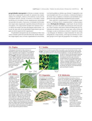 Imagem de Livro - Biologia de Campbell