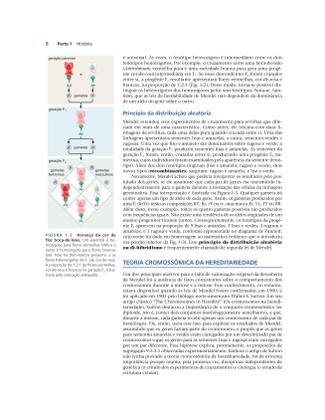 Imagem de Livro - Biologia Molecular do Gene