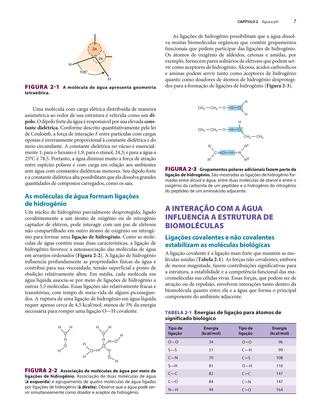 Imagem de Livro - Bioquímica Ilustrada de Harper