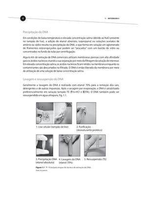 Imagem de Livro - Biotecnologia II