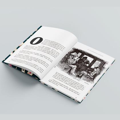 Imagem de Livro - Box Alice - Box com 2 livros - Edição de Luxo Almofadada