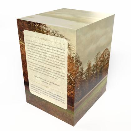 Imagem de Livro - Box Os Bridgertons