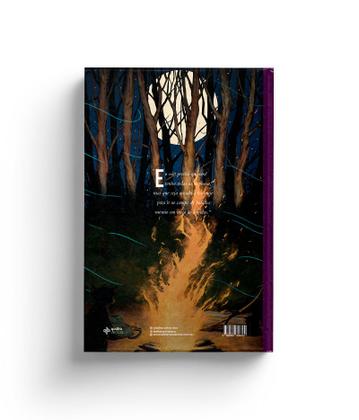Imagem de Livro - Caledrina Cefyr e o Arauto Sujo