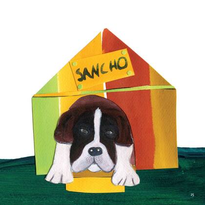 Imagem de Livro - Casa de bicho