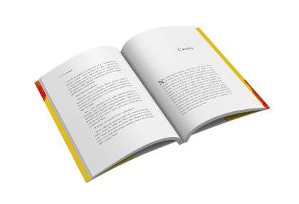 Imagem de Livro - Casulo