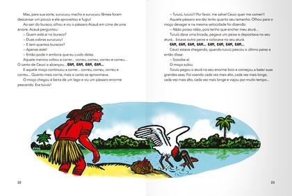 Imagem de Livro - Ceuci, a mãe do pranto: uma história indígena