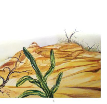 Imagem de Livro - Chapeuzinho de couro