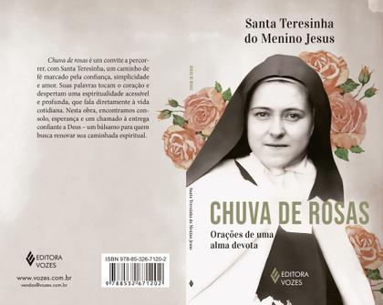 Imagem de Livro - Chuva de rosas - Sem orelhas