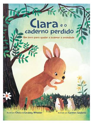 Imagem de Livro - Clara e o caderno perdido
