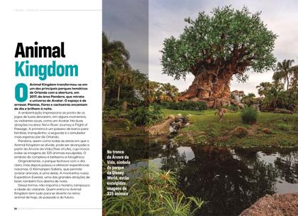 Imagem de Livro - Coleção Flórida - Orlando 2024
