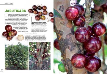 Imagem de Livro - Coleção Jardim & Lazer - Edição 5 - Horta e Pomar