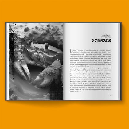 Imagem de Livro - Criança de Domingo - Uma biografia musical de Chico Science