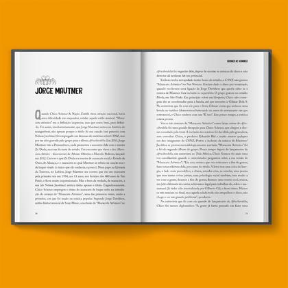 Imagem de Livro - Criança de Domingo - Uma biografia musical de Chico Science