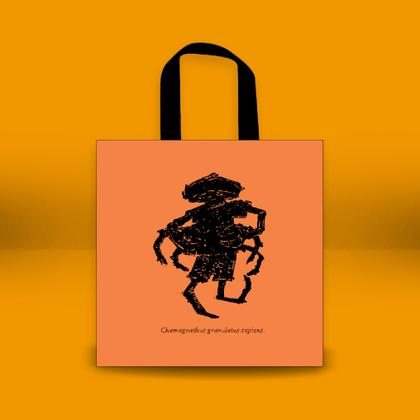 Imagem de Livro - Criança de Domingo - Uma biografia musical de Chico Science