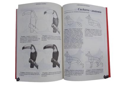 Imagem de Livro - Curso Básico de Desenho