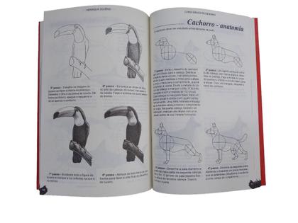 Imagem de Livro - Curso Básico de Desenho