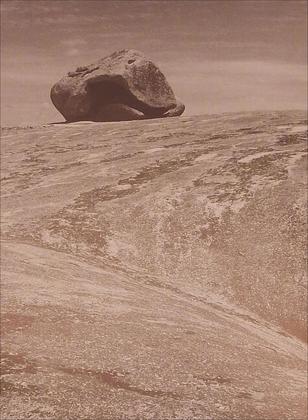 Imagem de Livro - Da cabra