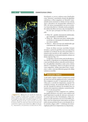 Imagem de Livro - Dermatologia Clinica