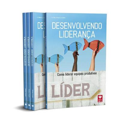 Imagem de Livro Desenvolvimento Liderança