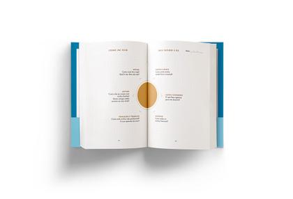 Imagem de Livro - Diário do sucesso